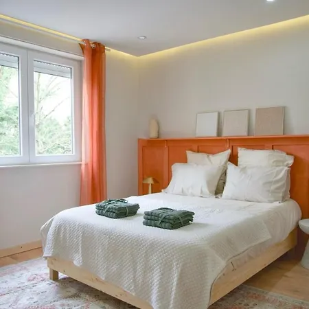 Lägenhet Cosy T2 Proche Du Centre De Mulhouse
